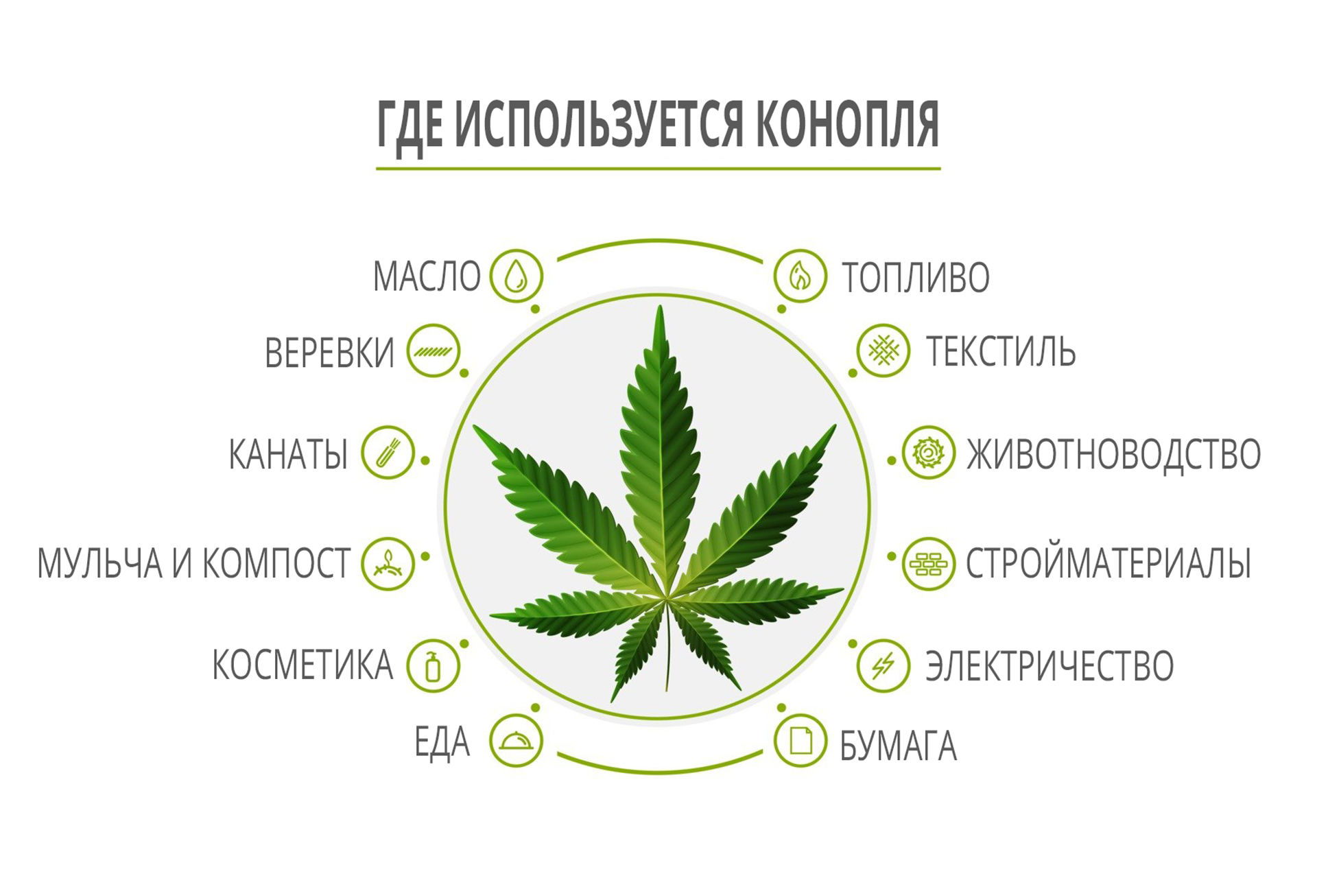 растения аналоги марихуаны